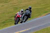 PJ-Motorsport-2019;anglesey-no-limits-trackday;anglesey-photographs;anglesey-trackday-photographs;enduro-digital-images;event-digital-images;eventdigitalimages;no-limits-trackdays;peter-wileman-photography;racing-digital-images;trac-mon;trackday-digital-images;trackday-photos;ty-croes